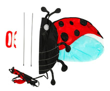 Load image into Gallery viewer, Ladybird Kite