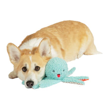 Load image into Gallery viewer, Oddball | Dog Toy