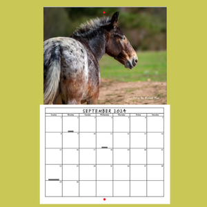 Sweet Olive Farm Animal Rescue 2024 Calendar