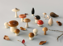 Load image into Gallery viewer, Forest Mushrooms in a Box - TREEHOUSE kid and craft