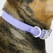 Load image into Gallery viewer, Two-Tone Dog Collar
