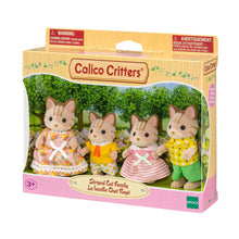 Load image into Gallery viewer, Calico Critters Striped Cat Family