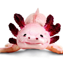 Load image into Gallery viewer, Axolotl