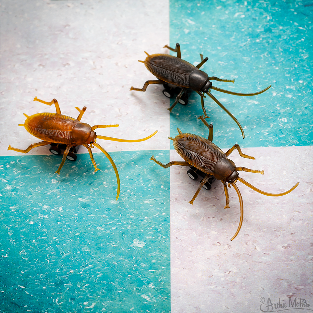 Racing Roaches - TREEHOUSE kid and craft