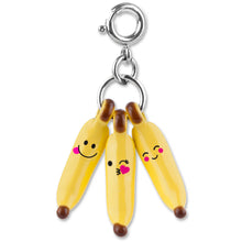 Load image into Gallery viewer, Charm it! charms  | lots of 'em!