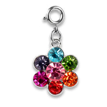 Load image into Gallery viewer, Charm it! charms  | lots of 'em!