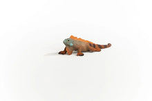 Load image into Gallery viewer, Iguana