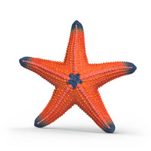 Load image into Gallery viewer, Schleich Color-Changing Starfish