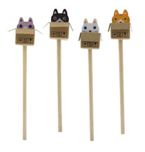 Load image into Gallery viewer, Cat In The Box Eraser &amp; Pencil Duo