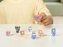Load image into Gallery viewer, Bluey Fuzzies Blind Box