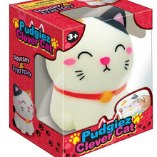 Load image into Gallery viewer, Pudgiez Clever Cat