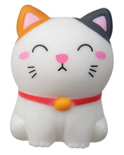 Load image into Gallery viewer, Pudgiez Clever Cat