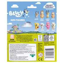 Load image into Gallery viewer, Bluey Mini Figure Pk | Series 2