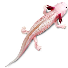 Load image into Gallery viewer, Axolotl