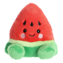 Load image into Gallery viewer, Sandy Watermelon