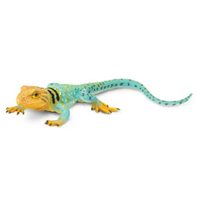 Load image into Gallery viewer, Collared Lizard