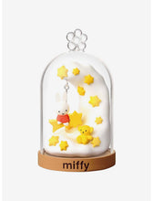 Load image into Gallery viewer, miffy Terrarium blind box
