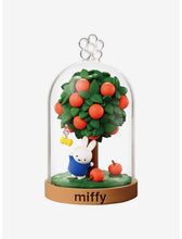 Load image into Gallery viewer, miffy Terrarium blind box
