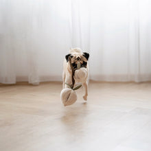Load image into Gallery viewer, Momo Enrichment Dog Toy