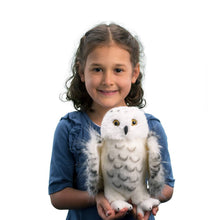 Load image into Gallery viewer, Legend Snowy Owl