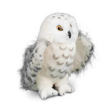 Load image into Gallery viewer, Legend Snowy Owl