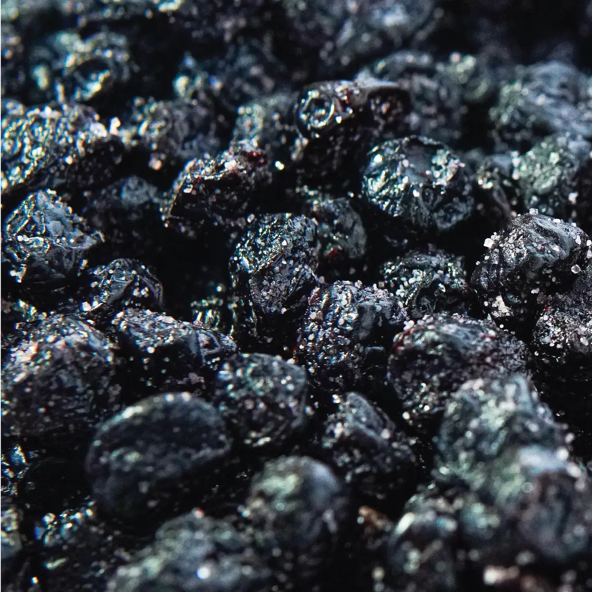 Level 3 Blueberries Dried Fruit Sour Snack - TREEHOUSE kid and craft