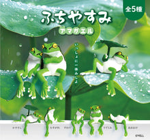 Load image into Gallery viewer, Resting Tree Frog Blind Box