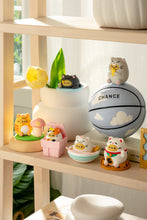 Load image into Gallery viewer, Tayto Cat