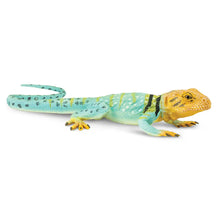 Load image into Gallery viewer, Collared Lizard