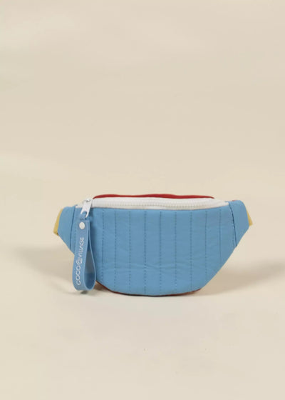 Washable Nylon Waist Bag