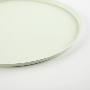 Bright Compostable Party Plates