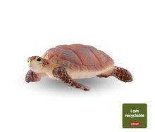 Load image into Gallery viewer, Hawksbill Sea Turtle