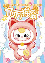 Load image into Gallery viewer, Baby Three Billionaire Cat Blind Box