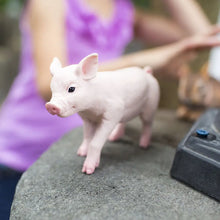 Load image into Gallery viewer, Piglet
