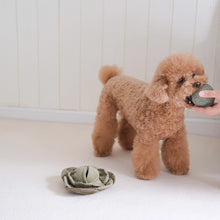 Load image into Gallery viewer, Cabbage Pop Enrichment Dog Toy