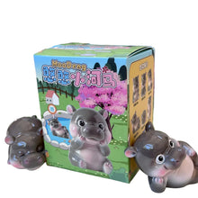 Load image into Gallery viewer, Moo Deng Hippo Blind Box