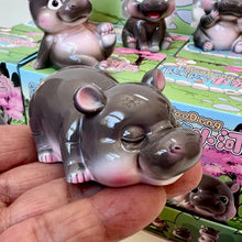 Load image into Gallery viewer, Moo Deng Hippo Blind Box