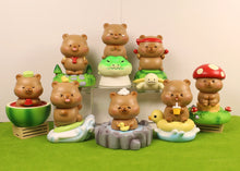 Load image into Gallery viewer, Capybara Playmates Blind Box