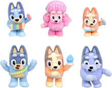 Load image into Gallery viewer, Bluey Fuzzies Blind Box