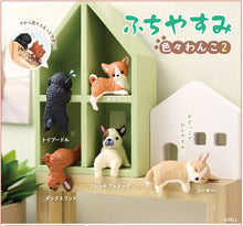 Load image into Gallery viewer, Hanging Dogs Blind Box