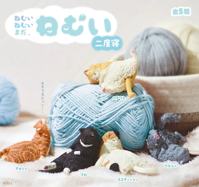 Resting cat  Surprise Box