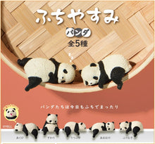 Load image into Gallery viewer, Resting panda  Surprise Box
