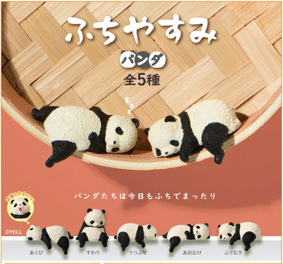 Resting panda  Surprise Box
