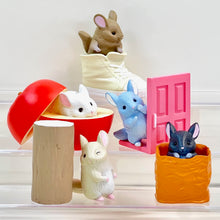 Load image into Gallery viewer, Peeking Chinchilla Blind Box