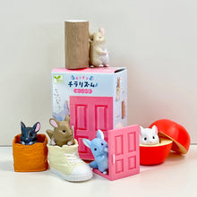 Load image into Gallery viewer, Peeking Chinchilla Blind Box