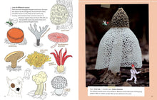 Load image into Gallery viewer, Mushrooms and Company
