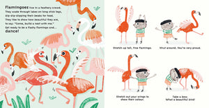 Dance Like a Flamingo: Learn How to Move and Groove Like the Animakls Do!