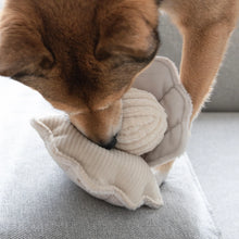 Load image into Gallery viewer, Oyster Pop Enrichment Dog Toy
