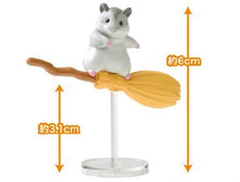 Load image into Gallery viewer, Flying Broom Blind Box