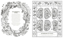Load image into Gallery viewer, Into the Fungarium | Coloring Book